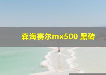 森海赛尔mx500 黑砖